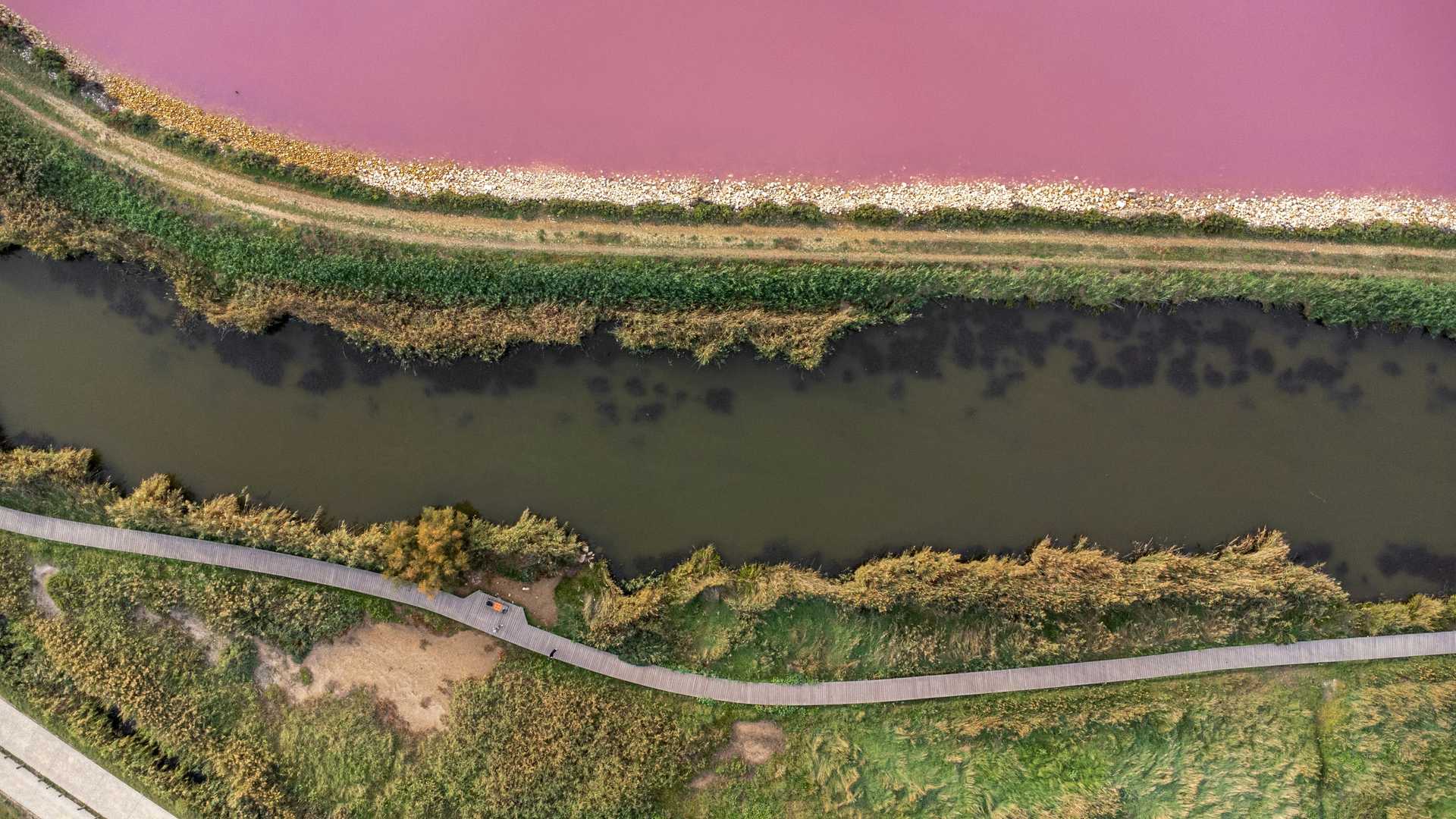 A river with a fence and grass