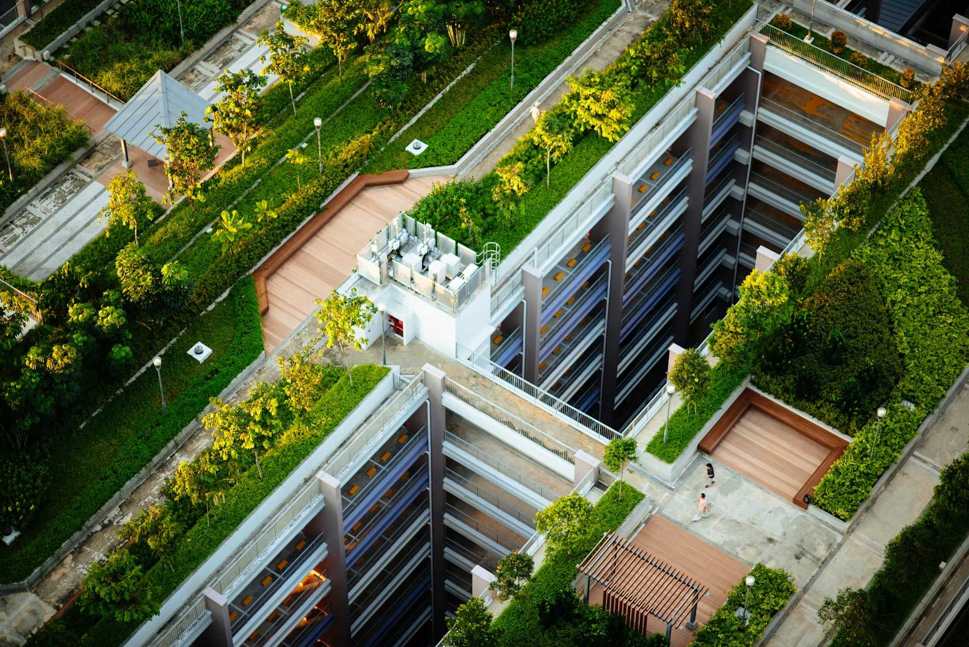 Trees and gardens on the roofs of high-rise apartment buildings.