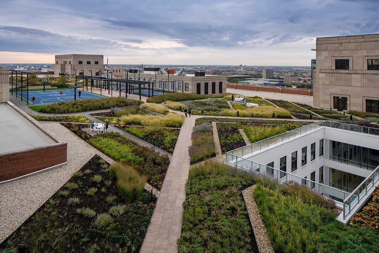 Chicago Post Office green roof system developed by Columbia Green Technologies